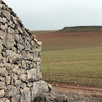 - 2 Trigal en el meseta castellana.jpg
