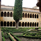 24 CIPRES MILENARIO claustro.jpg