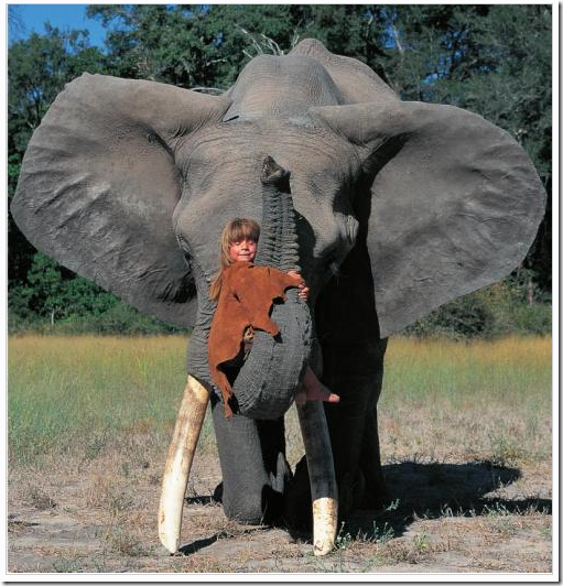 tippi e seu amigo elefante