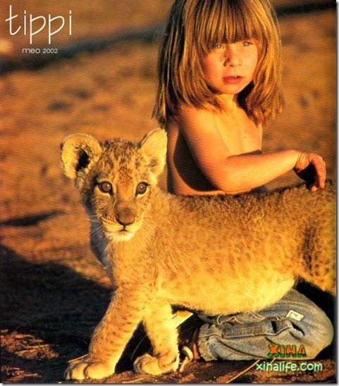 Book livro Tippi pequena garota e sua amizade com Animais selvagens  (5)