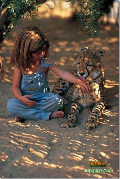 Book livro Tippi pequena garota e sua amizade com Animais selvagens  (11)