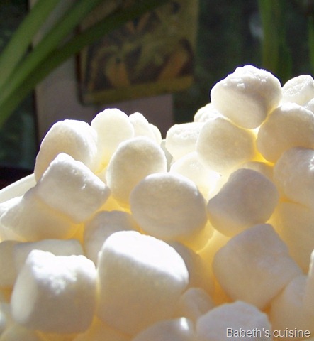 [marshmallows[7].jpg]