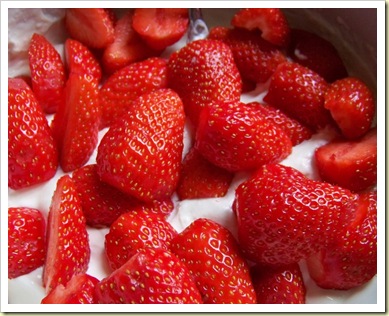 fraises yaourt 1