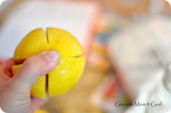 preserving lemons 003