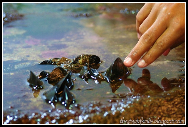 [Road Trip Day 1 103_picnik[7].jpg]