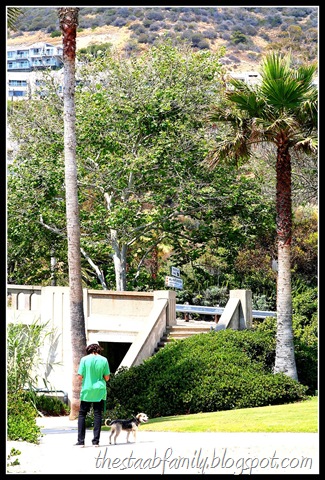 [Road Trip Day 1 007_picnik[2].jpg]