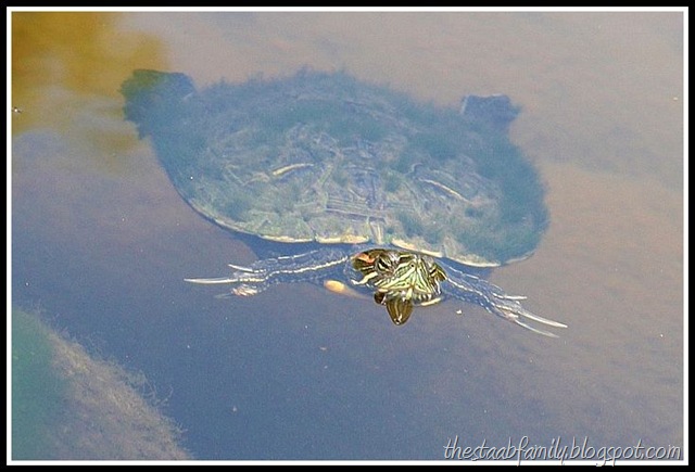[Road Trip Day 1 016_picnik[6].jpg]