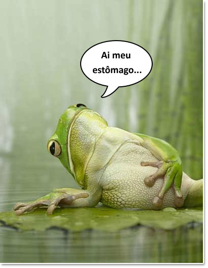 sapo-estomago.jpg