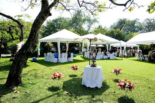 Outdoor Wedding Decorations Pictures