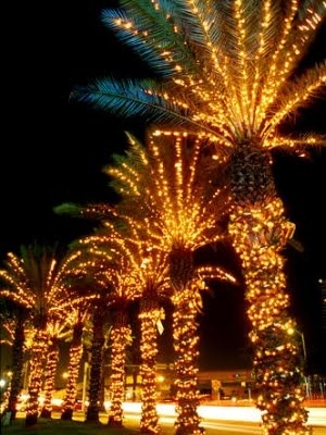[Christmas-Lights-Miami[3].jpg]