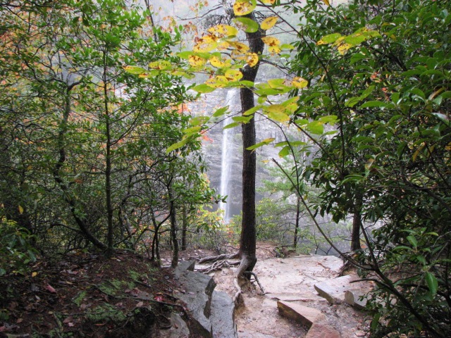 [Fall Creek Falls SP 073[3].jpg]