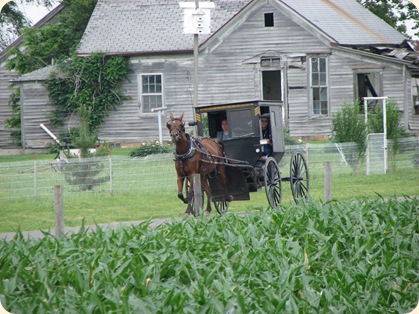 Ilinois Amish 022