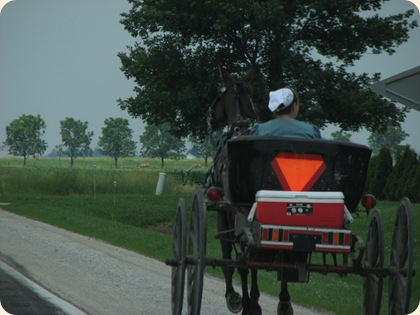 Ilinois Amish 025