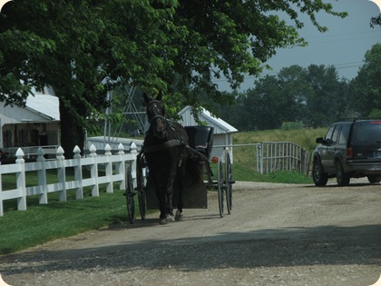 Montgomery  IN -  Amish 007