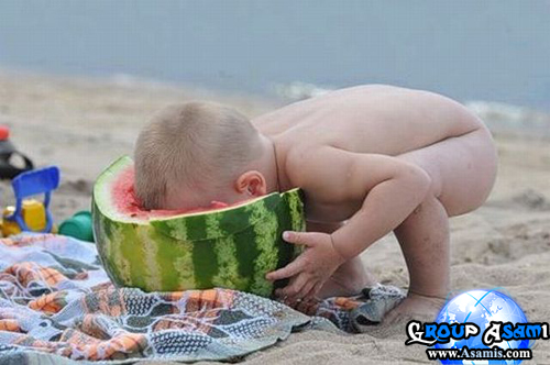 قروب أسامي - إنتظر تحميل الصورة