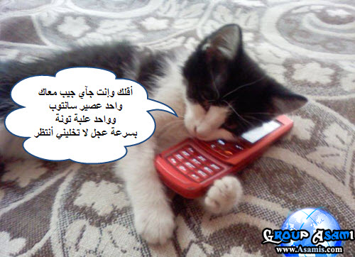 قروب أسامي - إنتظر تحميل الصورة