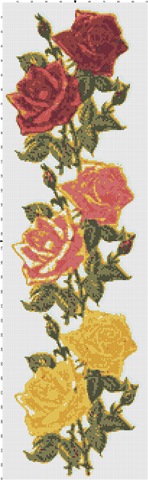 [rose-17[2].jpg]