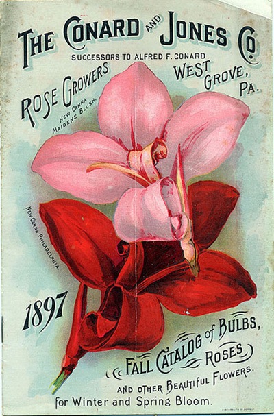 Catalog of Bulbs