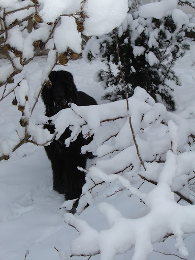 DSC08526.JPG