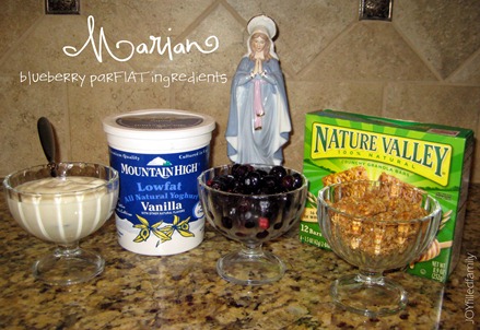 Marian blueberry parFIAT ingredients
