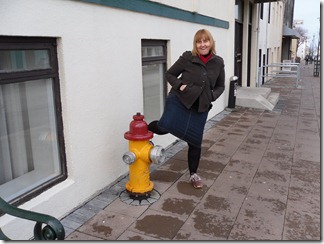 Iceland Fire Hydrant