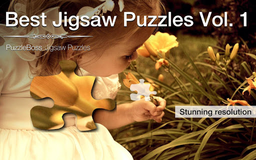 Best Jigsaw Puzzles Vol. 1