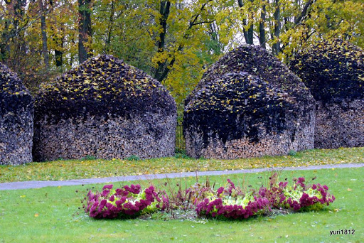 Хутынский Спасо-Преображенский монастырь Морозы сестрам не страшны фото yuri1812