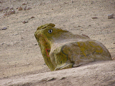 Khardung La frog