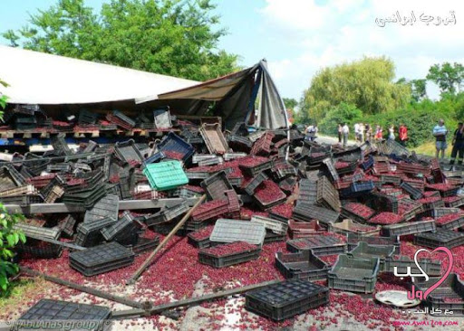 مجموعة أول حب البريدية