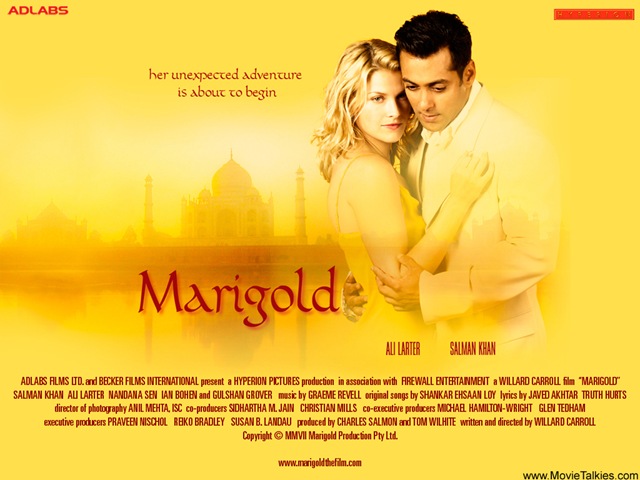 [marigold-2007-3b-1_1186517947[4].jpg]