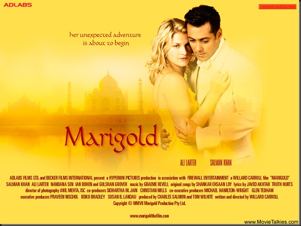 marigold-2007-3b-1_1186517947