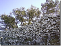 Muralla occidental