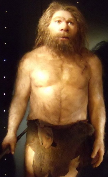 [NeandertalMuseodelaEvolucinHumanaBur[2].jpg]