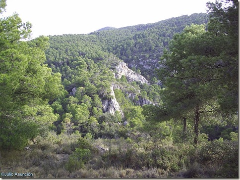 Entorno de la Cueva dle Lagrimal - Villena