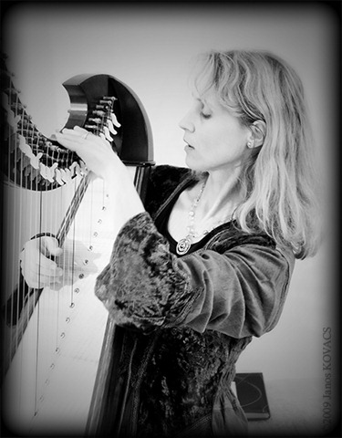 [_DSC6854HarpPlayer2[1].jpg]