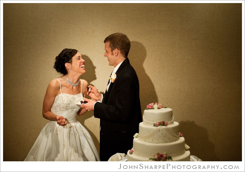 Minneapolis  Wedding Photographer at Holiday Inn Metrodome  Cutting the Cake