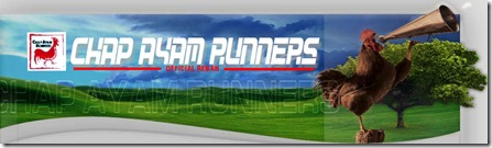 chapayambanner2009a