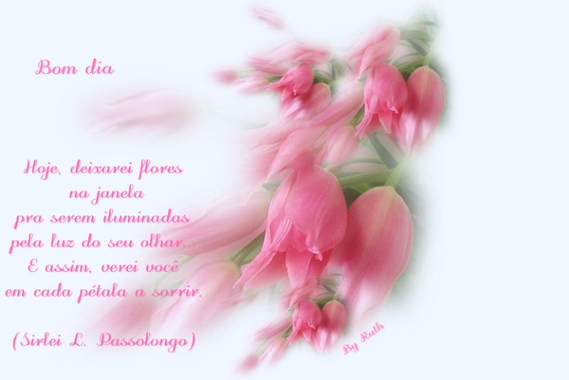 cart%C3%A3o%20tulipa%20rosa%202.png