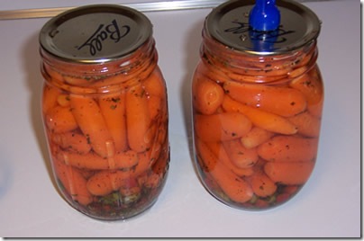pickled-carrots 008
