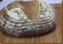basic-savory-bread-dough 057