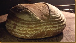 basic-savory-bread-dough 023