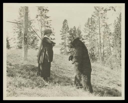 "Flirtation," Woman Feeding Bear at Yellowstone National Park, Wyoming, circa 1917