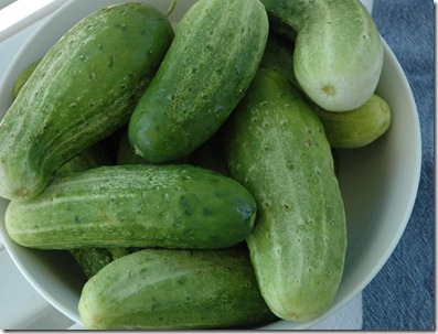 pickles3