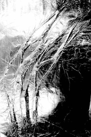 [y1pP7CPgXA01bNh-XBwiHrKtZo-ByToFAd1bYlk_oYP8mh-fcoZt0xZfg_Q-x2TwiwAsuIsfSCi5Pne1KAZR61k5g[2].jpg]