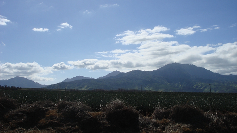 20100601_04.jpg