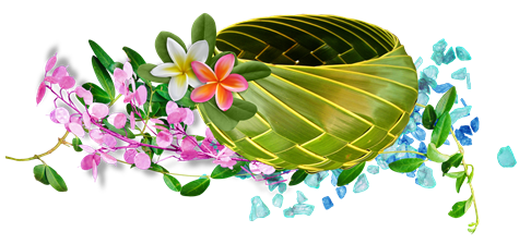 fenix%20a53.png