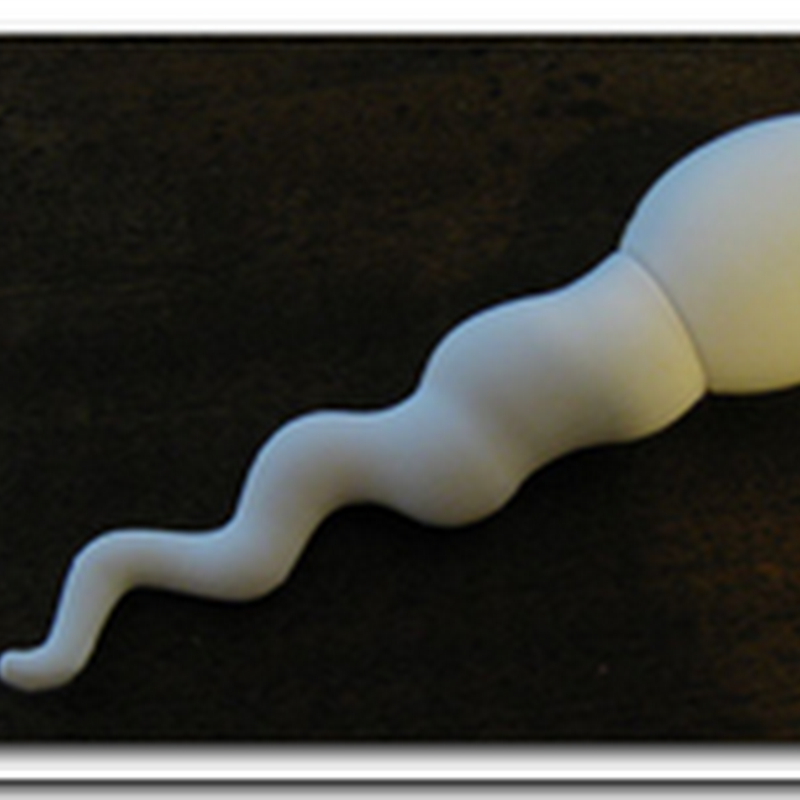 Sperm Storage – No not that kind, it’s a flash drive!