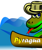 [pyragua_banner[3].png]