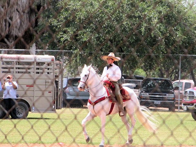 [mexican dancing horses5[2].jpg]