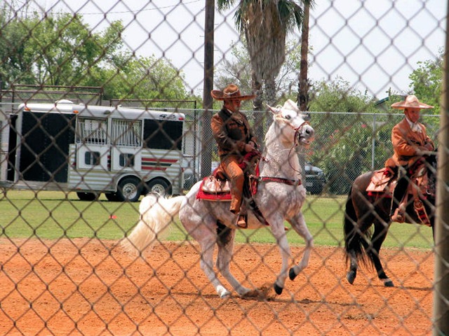 [mexican dancing horses7[2].jpg]
